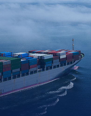 12年專業(yè)特種箱海運(yùn)服務(wù)團(tuán)隊